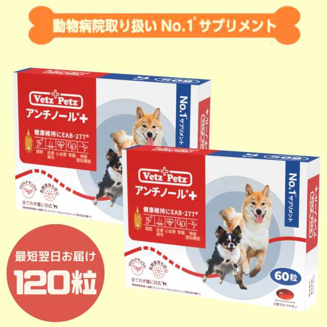 120粒】【あす楽】アンチノールプラス 犬用サプリメント 60粒×2箱の